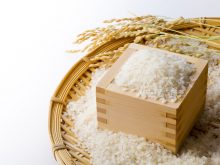 【お米の知識②】お米の品種