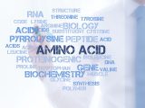よく聞く「アミノ酸」の役割や効果って何？どんな種類があるの？